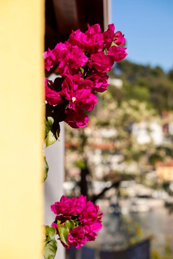 Casa Santo E Albina Rabac Villa Buitenkant foto